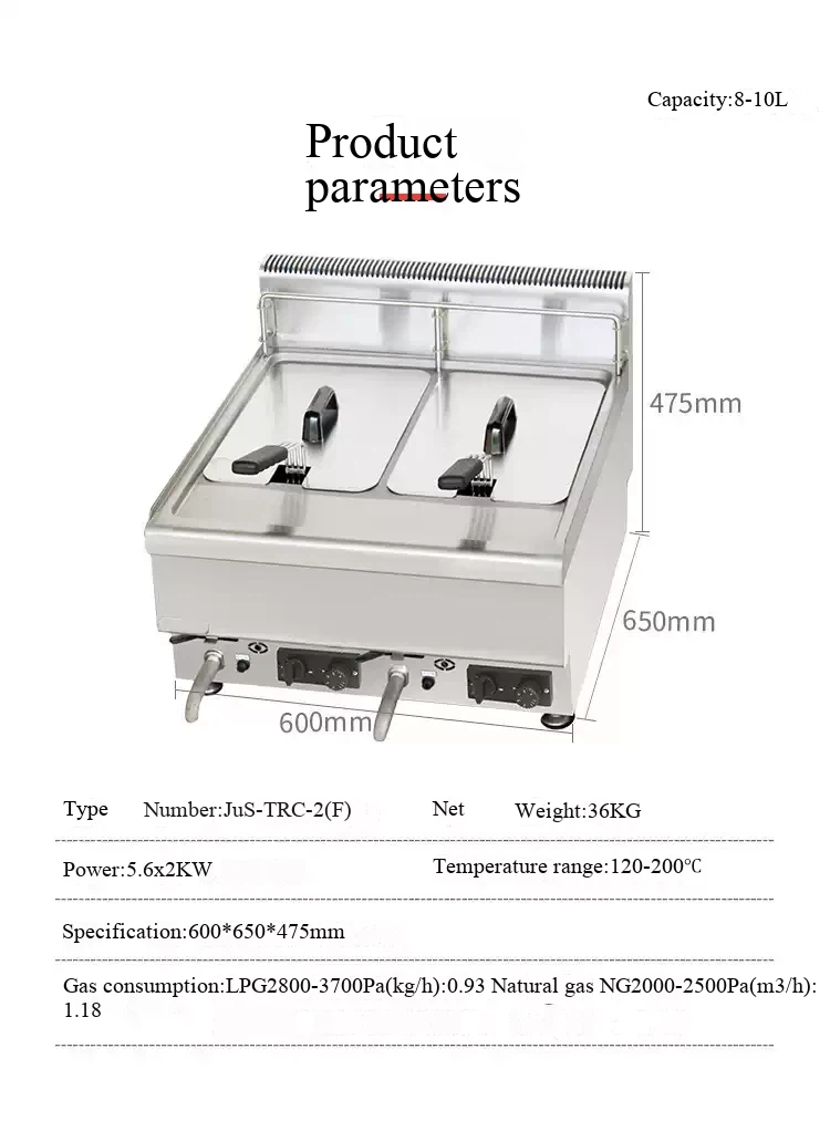 Tabletop Gas Fryer best